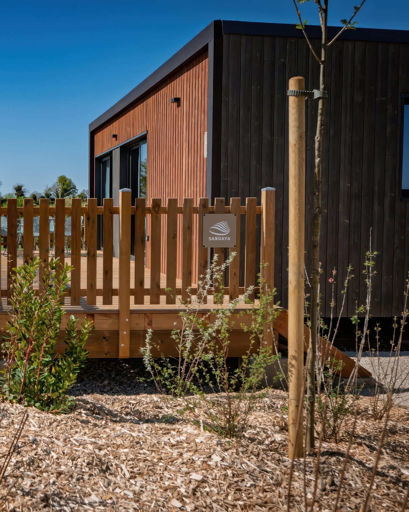 Maison contemporaine avec bardage bois et palissade en bois clair d'un jardin aménagé