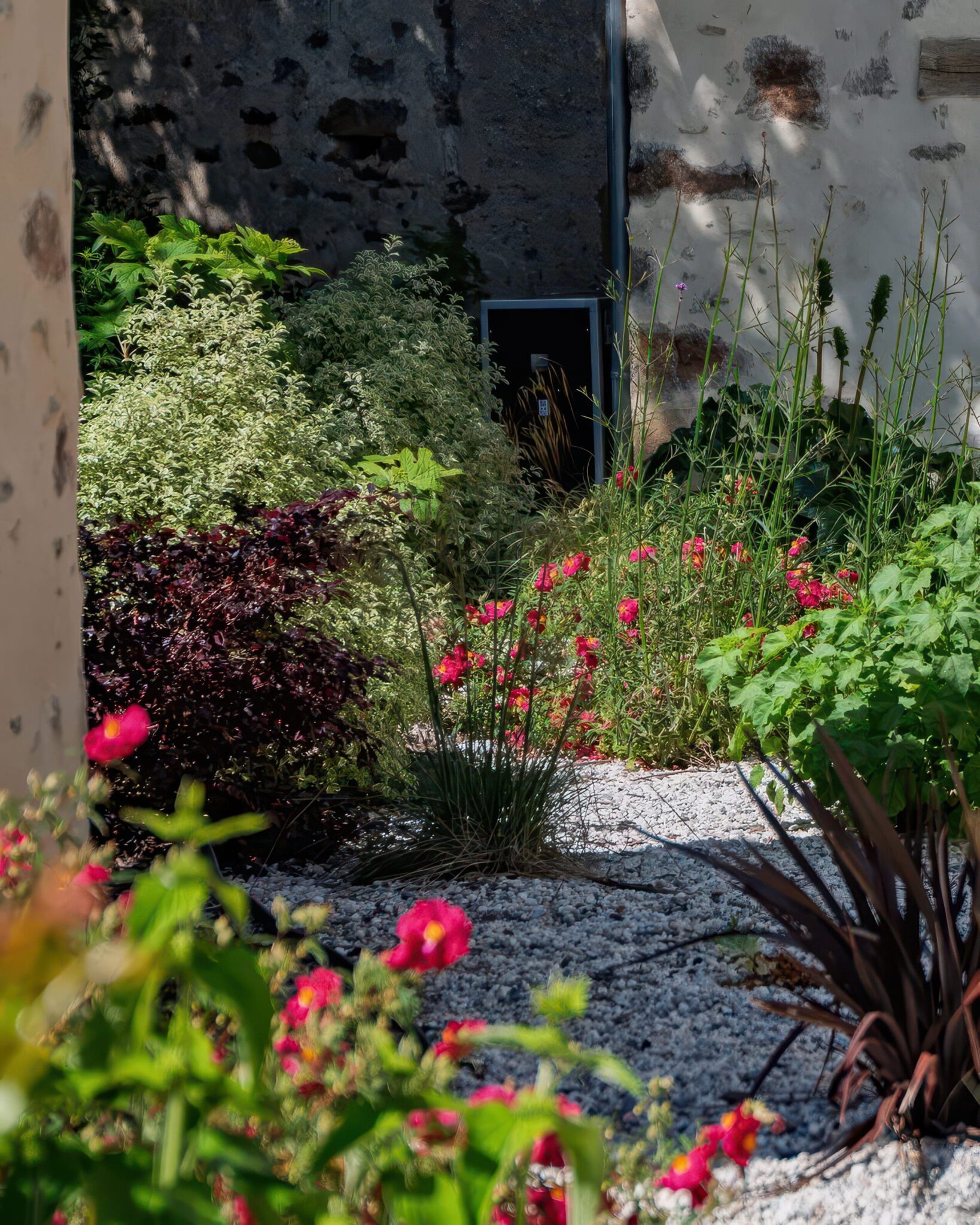Jardin fleuri avec gravier blanc et diverses plantes vertes et rouges devant un mur en pierre et enduit