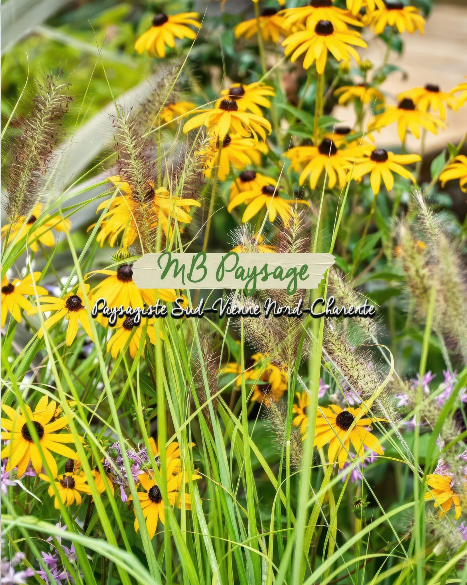 Fleurs jaunes et hautes herbes dans un massif fleuri