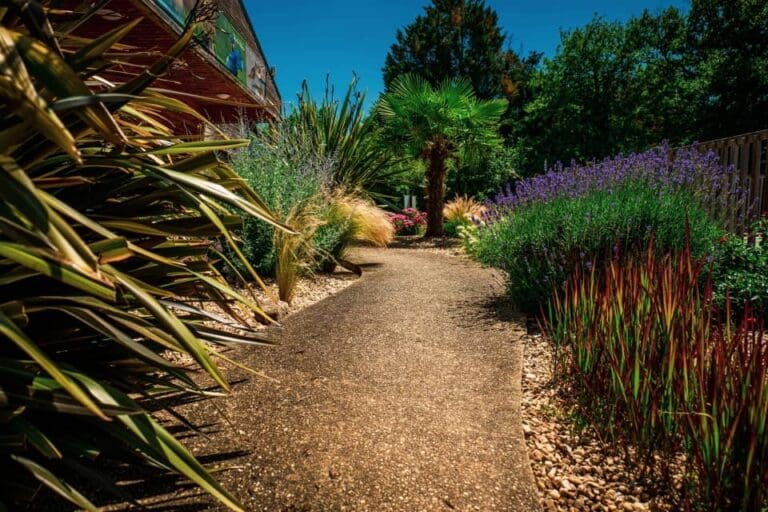 Allée en béton avec plantations variées et palmier sous ciel bleu