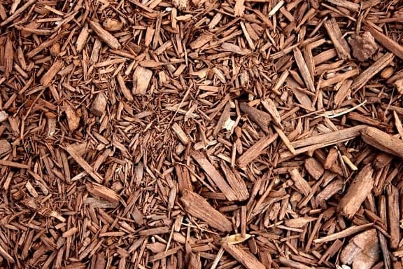 Paillis de bois brun couvrant le sol