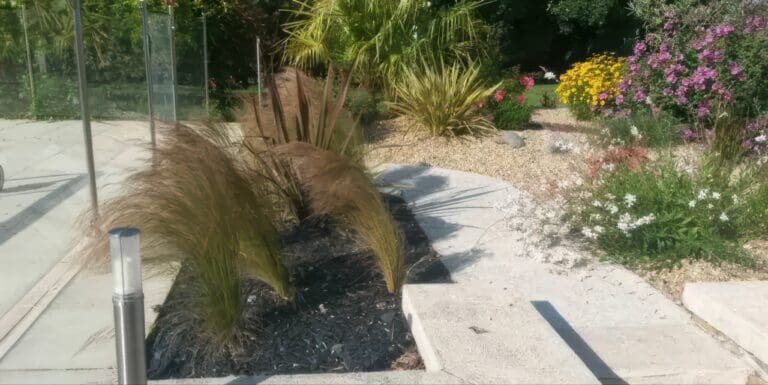Aménagement paysager avec graminées, plantes vivaces et allée en pierre