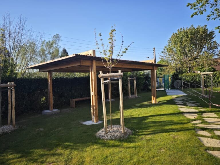 Pergola en bois avec arbre jeune et pelouse verte au soleil