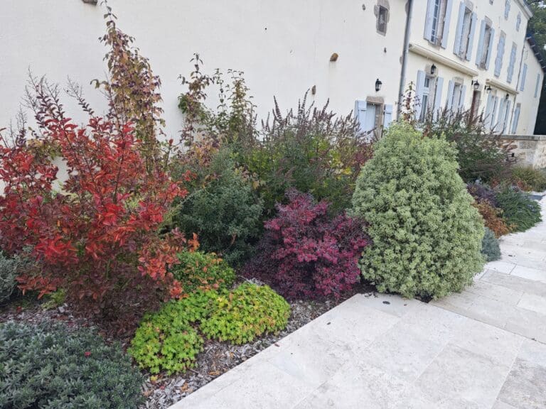 Massif de plantes et arbustes colorés devant une maison aux volets bleus