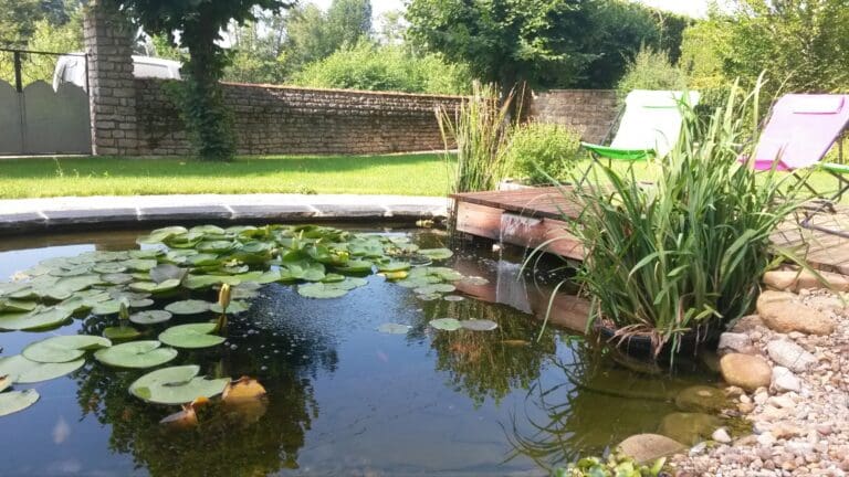 Petit bassin d’eau avec nénuphars, plantes aquatiques et deux chaises longues colorées