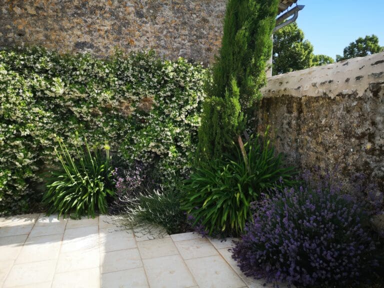 Jardin avec plantes fleuries blanches et violettes contre un mur en pierre
