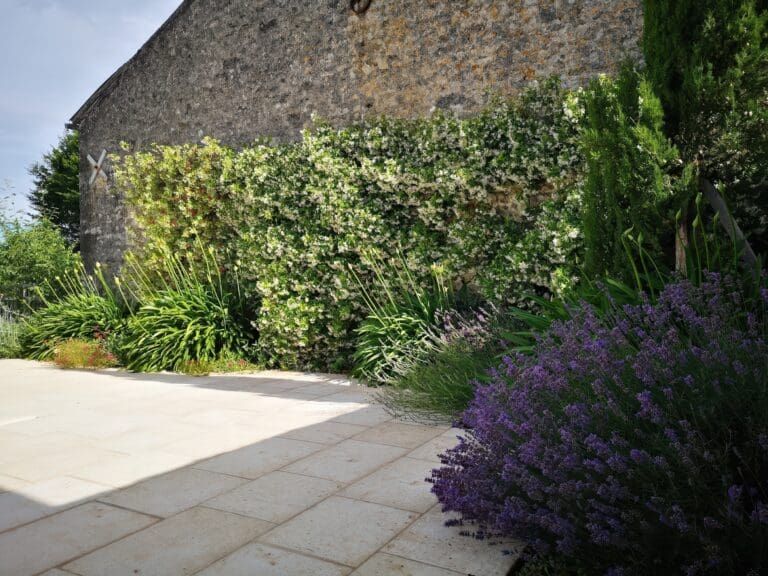 Jardin aménagé avec plantes grimpantes blanches et massifs de fleurs au pied d'un mur en pierre