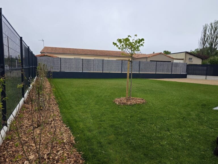 Pelouse bien entretenue avec jeune arbre au centre et haie plantée le long d'une clôture