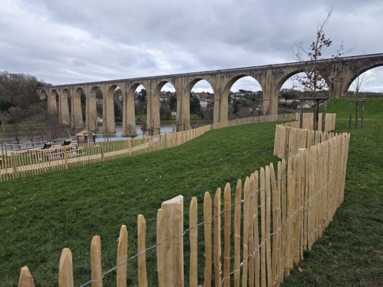 Clôture en bois naturel protégeant jeunes arbres sur une pelouse devant un grand viaduc en pierre